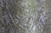 Cumnor fibreglass roof work